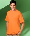 Adult Ultra Cotton T-Shirts
