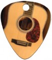 Guitar Pic Tag